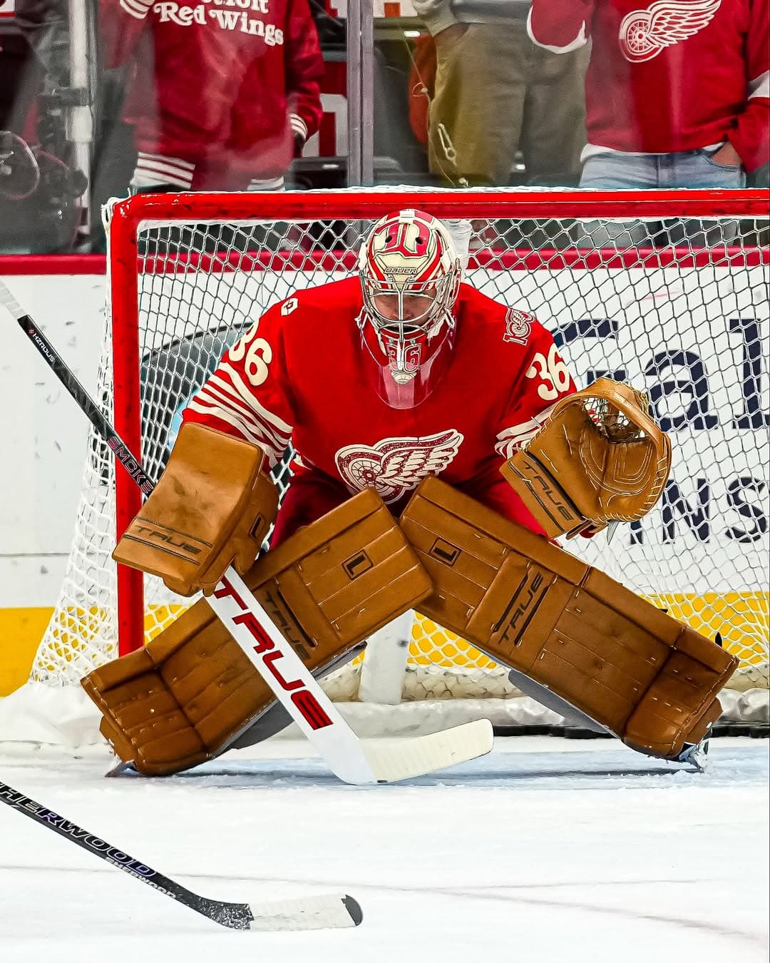 Monday Morning Ramblings featuring Vejmelka, Bobrovsky, Swayman, Gibson, and Kuemper