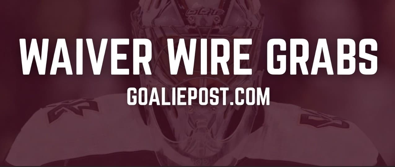 Organizations looking for goaltending this summer