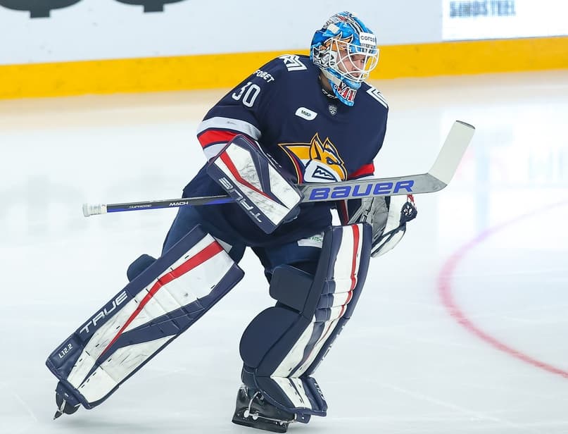 Monday Ramblings: Prospect Goaltenders On The Rise Ft. Dobes, Nabokov, Wallstedt and More