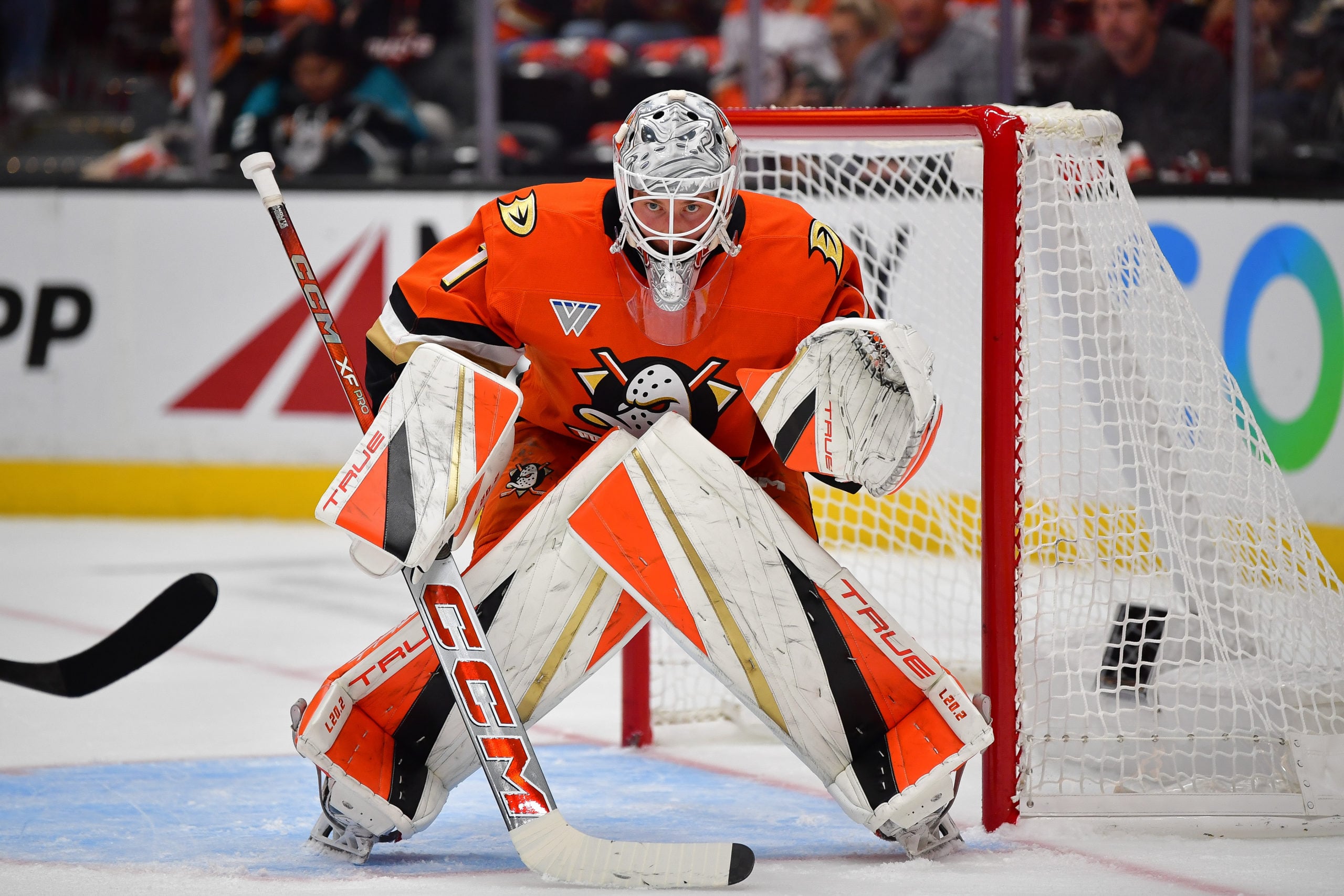 Monday Ramblings featuring Lukas Dostal and Carolina's 3-headed monster