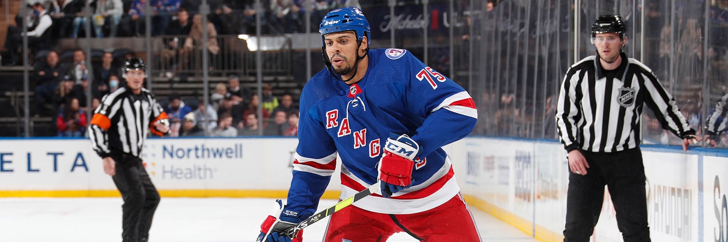 Ryan Reaves Action Shot