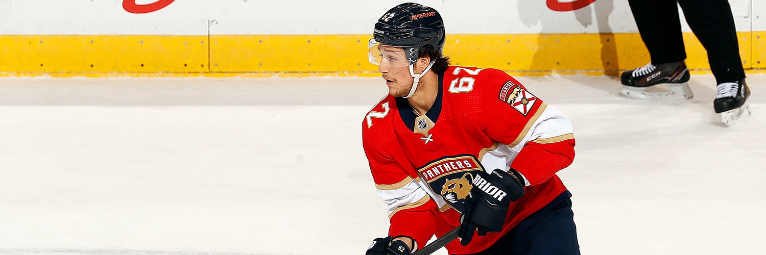 Brandon Montour Action Shot