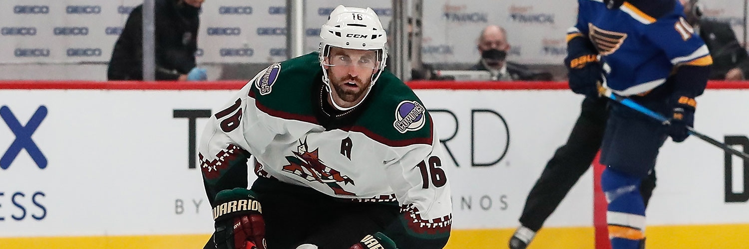 Andrew Ladd Action Shot