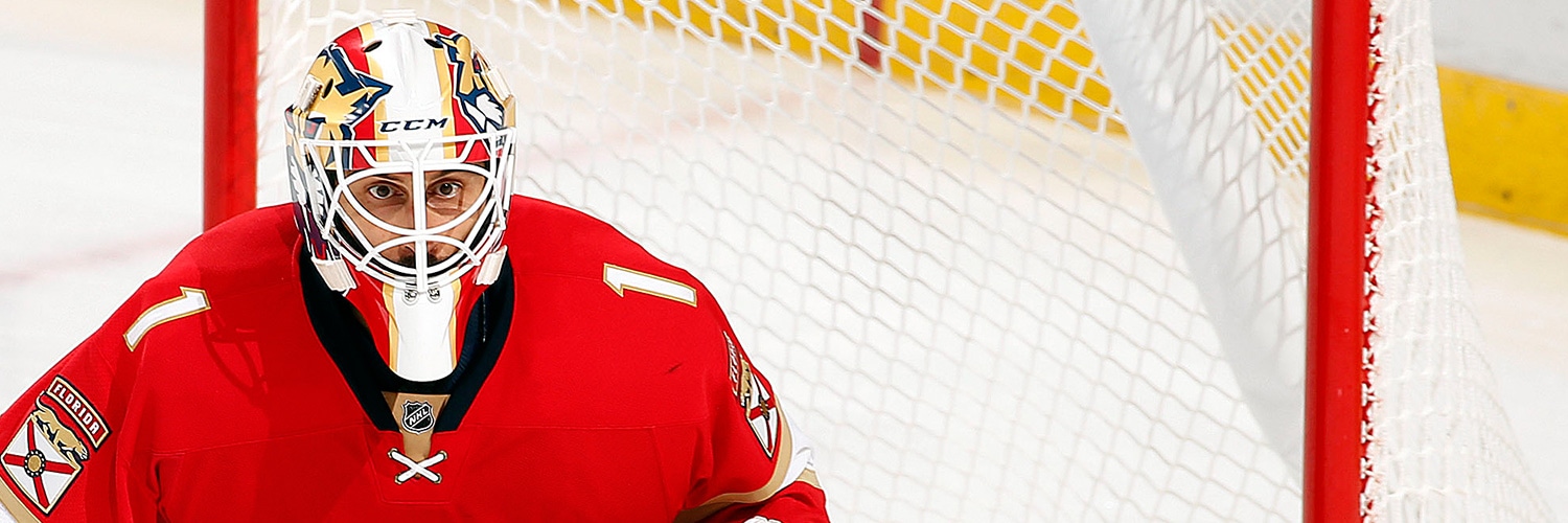 Roberto Luongo Action Shot