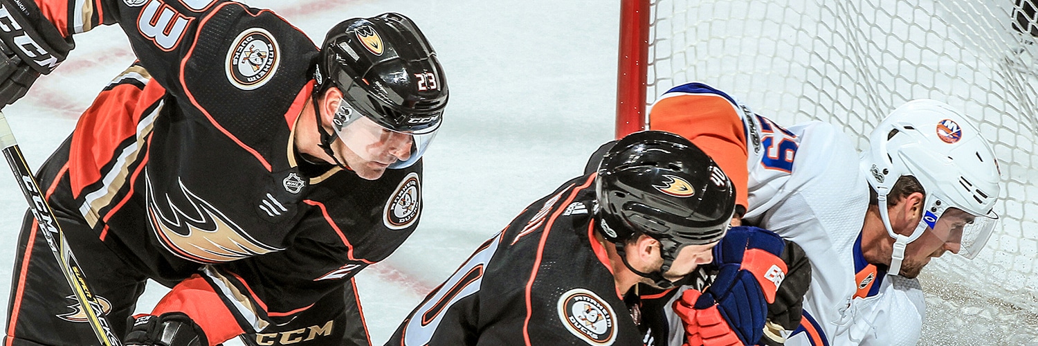 Francois Beauchemin Action Shot
