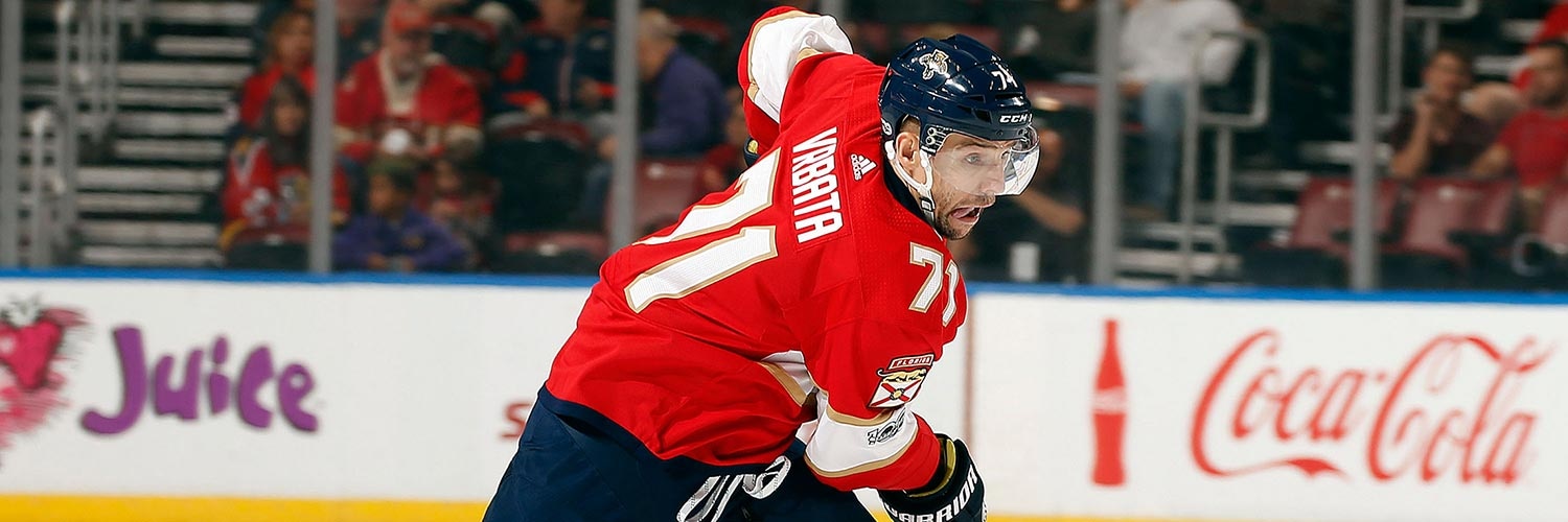 Radim Vrbata Action Shot