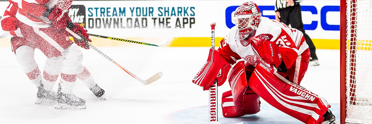 Jimmy Howard Action Shot