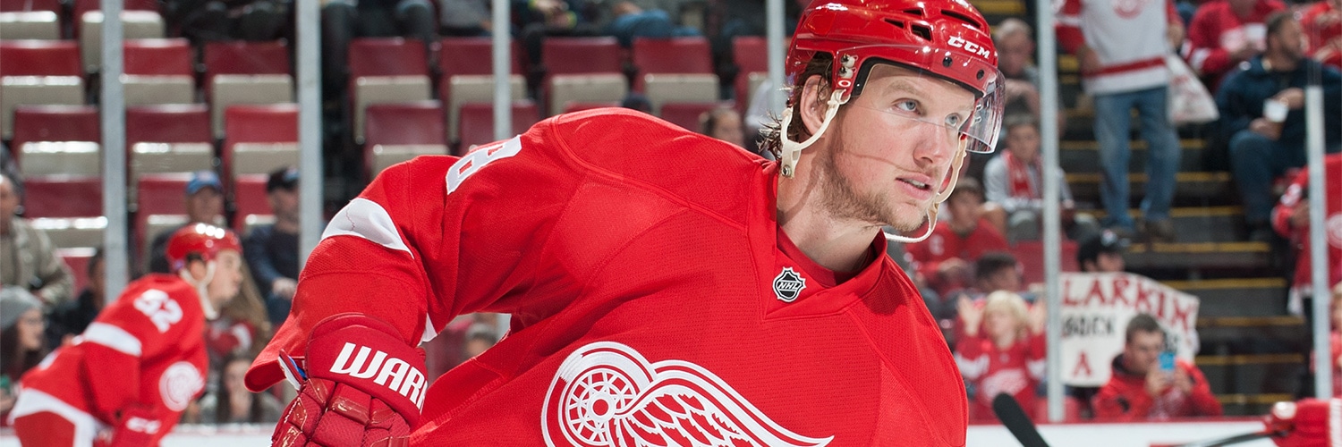 Justin Abdelkader Action Shot