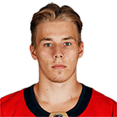 Henrik Haapala