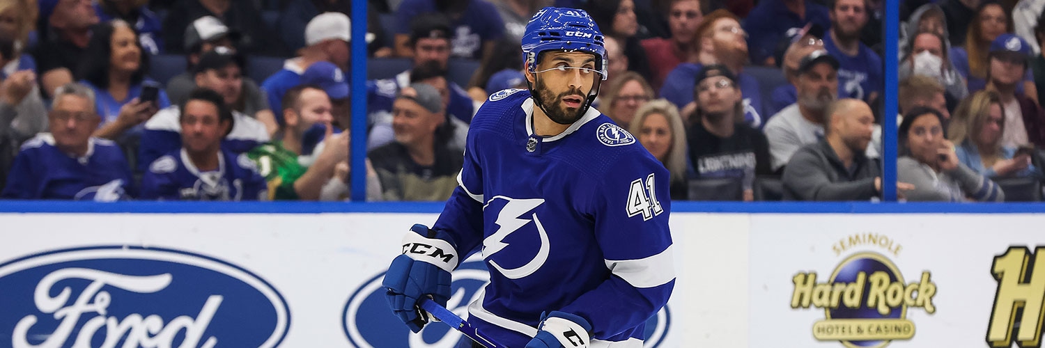 Pierre-Edouard Bellemare Action Shot